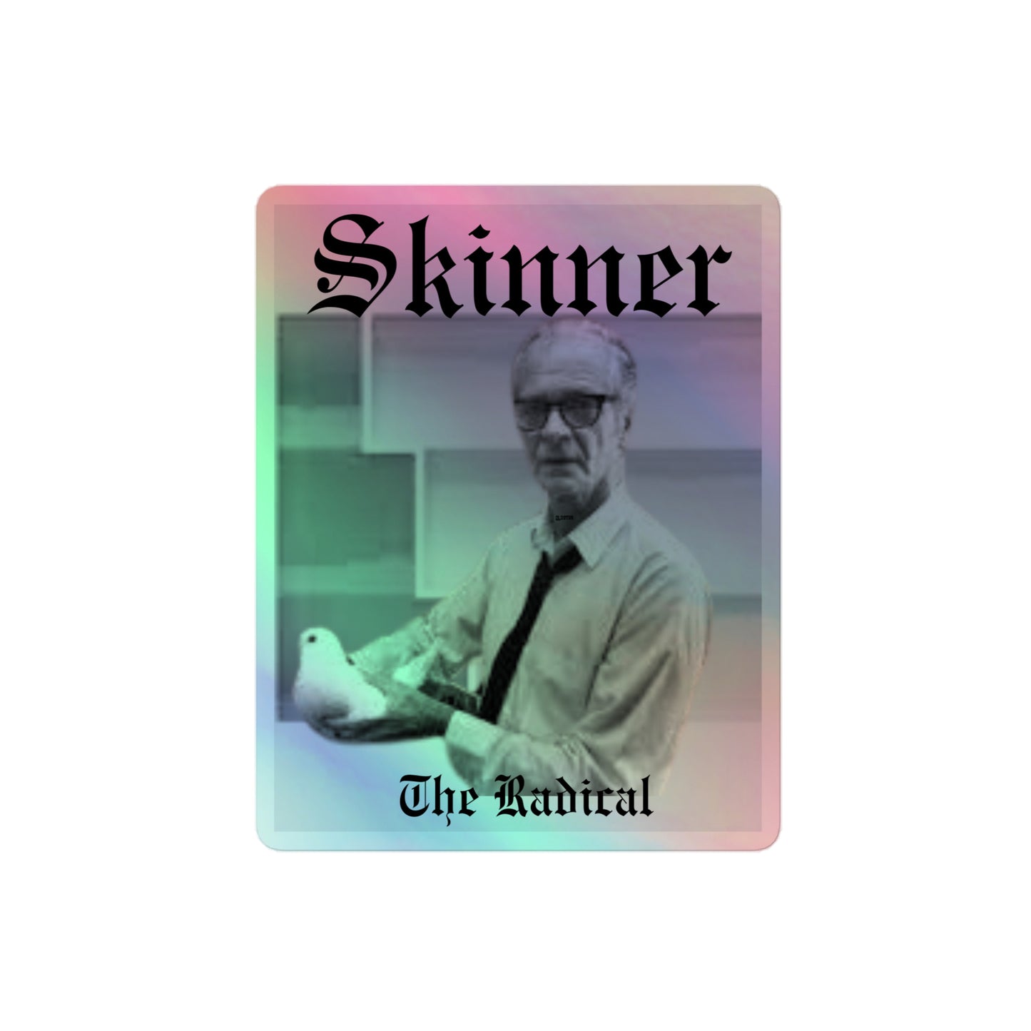 Skinner sticker