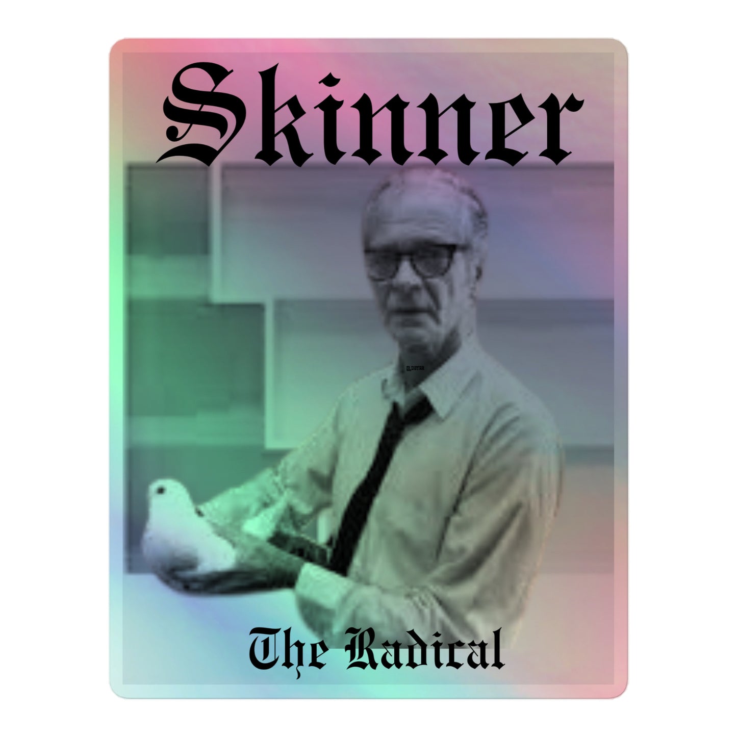 Skinner sticker